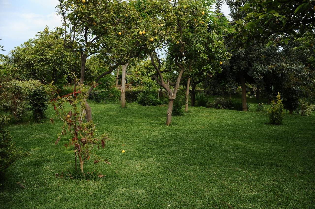 Tenuta Santa Tecla Acireale Exterior photo
